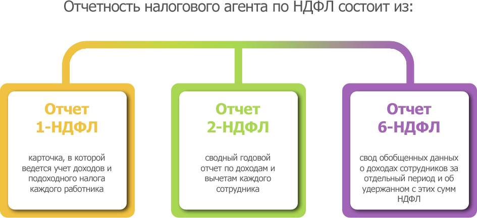 Ндфл агент. НДФЛ отчетность. НДФЛ виды отчетности. Налоговая отчетность по НДФЛ. НДФЛ налог отчетность.